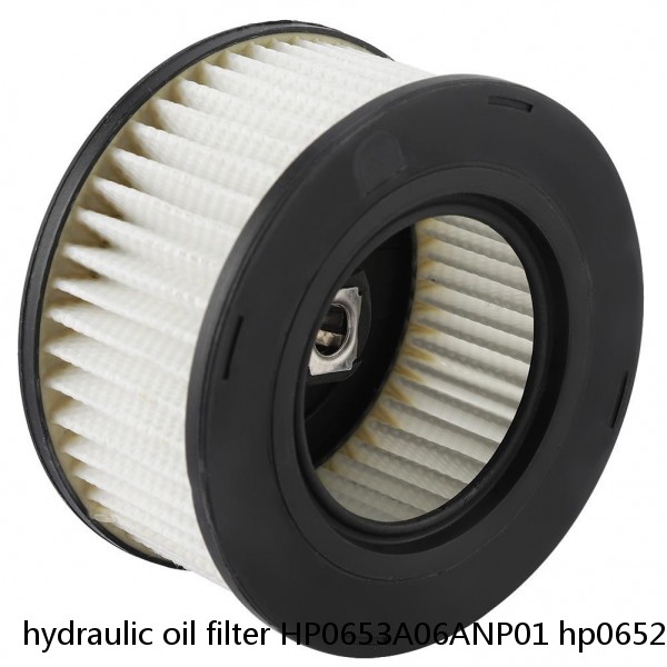 hydraulic oil filter HP0653A06ANP01 hp0652a06anp01 #2 image