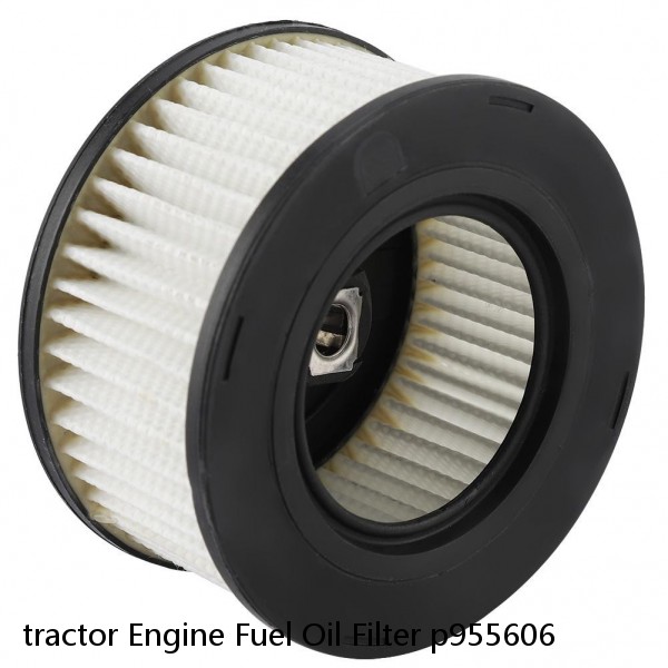 tractor Engine Fuel Oil Filter p955606 #1 image
