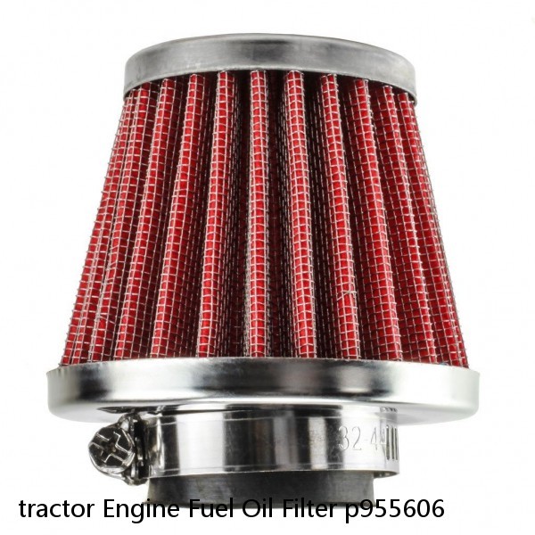 tractor Engine Fuel Oil Filter p955606 #2 image
