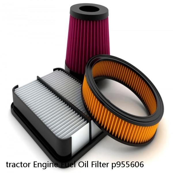 tractor Engine Fuel Oil Filter p955606 #3 image