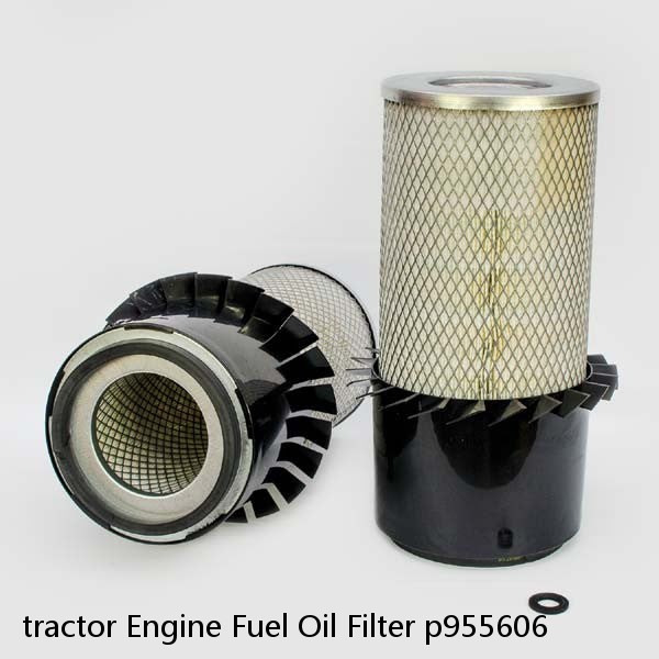 tractor Engine Fuel Oil Filter p955606 #4 image